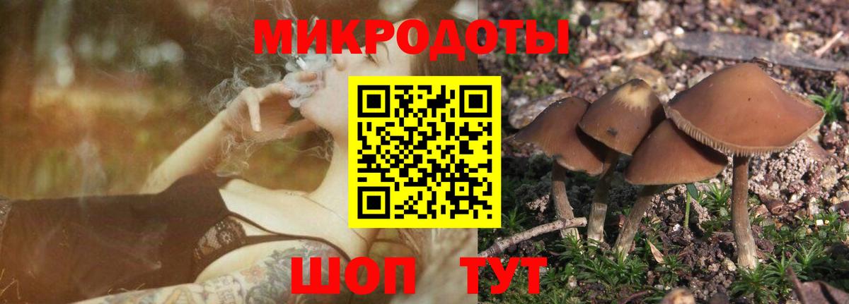 Псилоцибиновые грибы GOLDEN TEACHER  Вход с VPN  Сарапул 